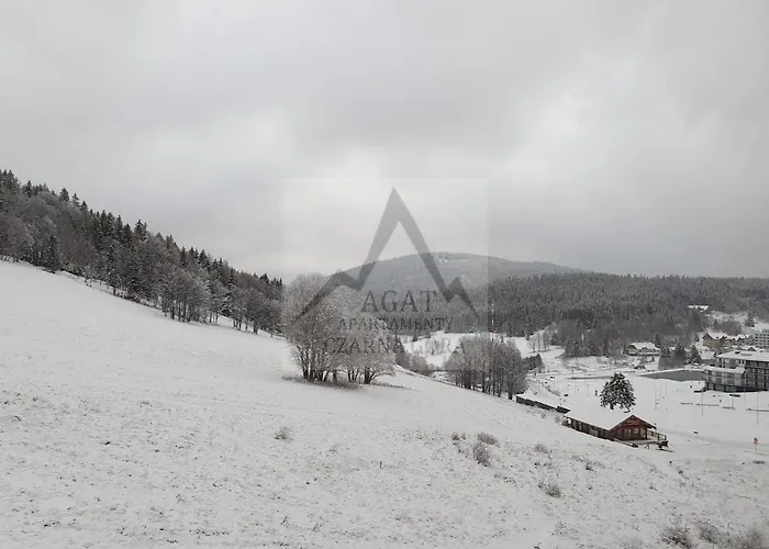 Agat Apartament Czarna Gora